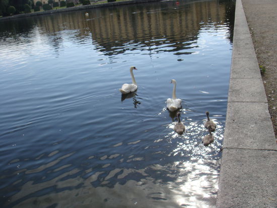 Stockholm - für uns heisst es bye, bye Drottningholm...