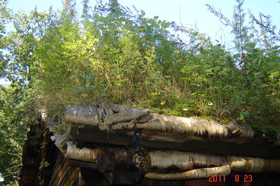 Oslo - die Dachkonstruktion; interessant ist die Birkenrindenabdeckung