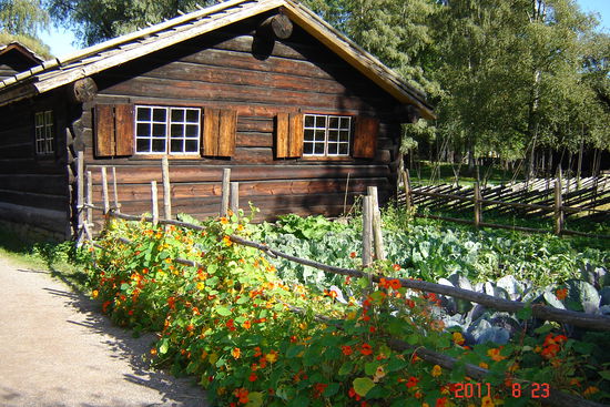 Oslo - das separate Wohnhaus mit hübschem Garten