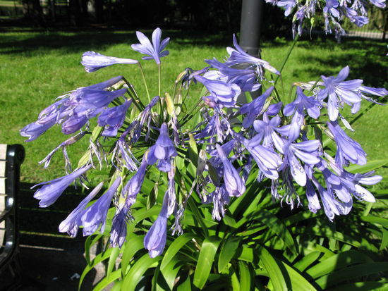 Oslo - im Schlossgarten