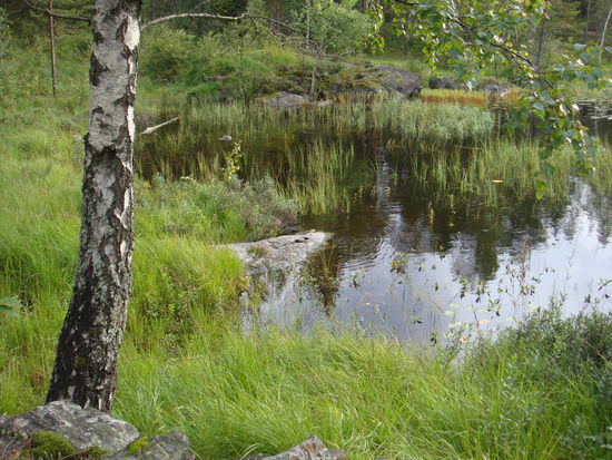 Gjerstad - die schöne Landschaft...