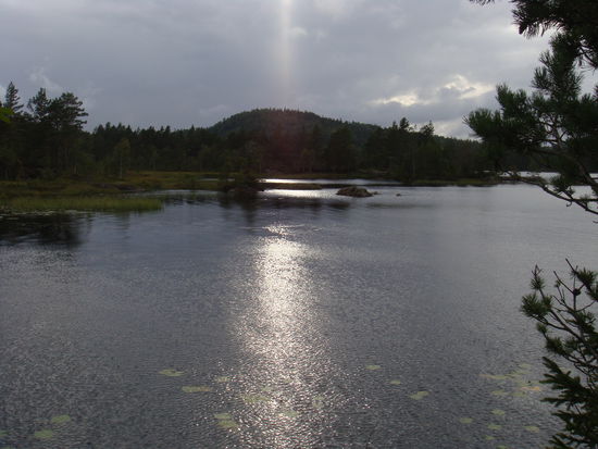 Gjerstad - schöne Abendstimmung...