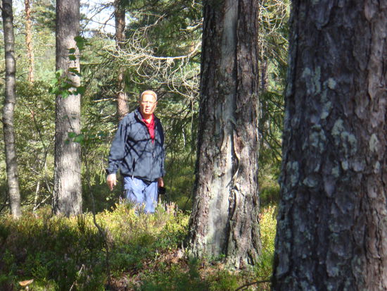Gjerstad - im Wald....