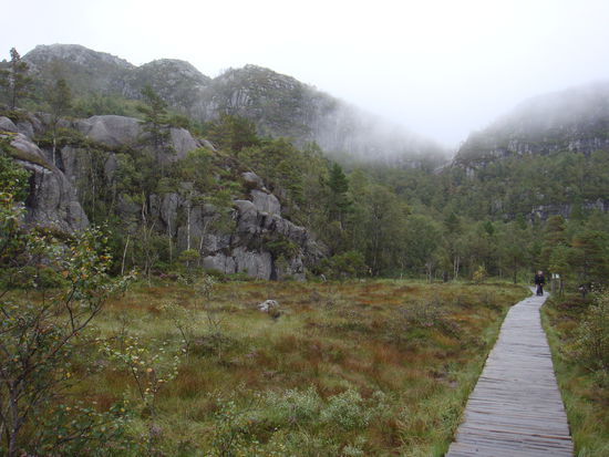 Preikestolen - über die Moose und Tümpel führen Stege...