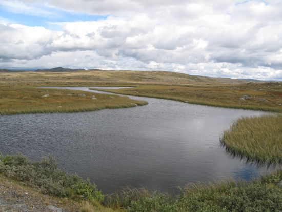 Hardangervidda - die schöne, aber rauhe Landschaft...
