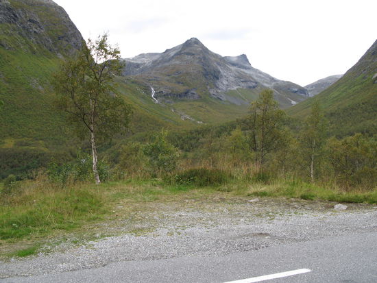 ...die Birken entlang der Strasse werden spärlicher...