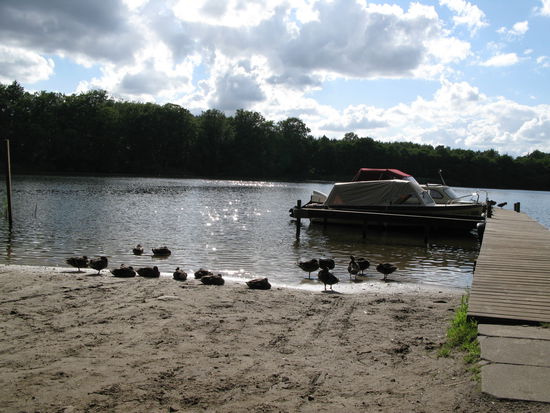 Rye - auch das gehört zum CP!