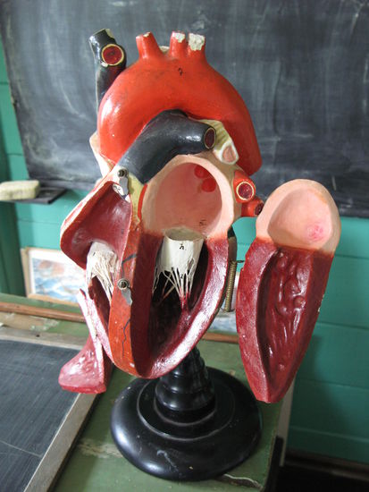 Volda - ...das Herz...