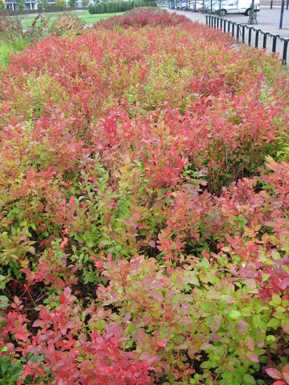 Lahti - ...wunderbarer Herbst...