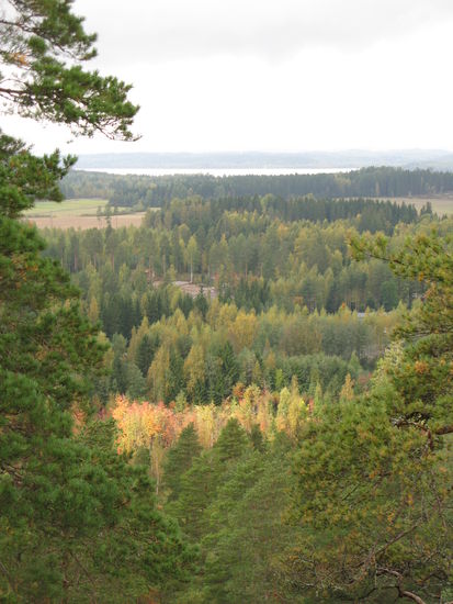 Hollola - ... die finnischen Wälder zeigen sich mit den ersten Sonnenstrahlen in unterschiedlichsten Farben...