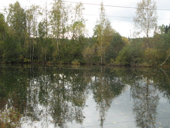 Hollola - ...kleiner Waldsee mit frischem Quellwasser...