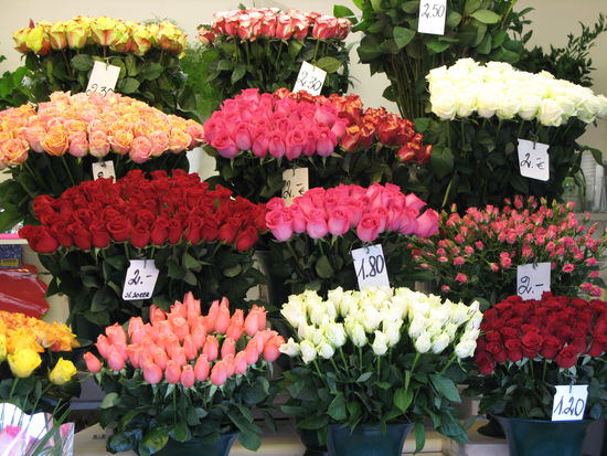 Tallinn - ...hübscher Blumenmarkt beim Eingang zur Altstadt...