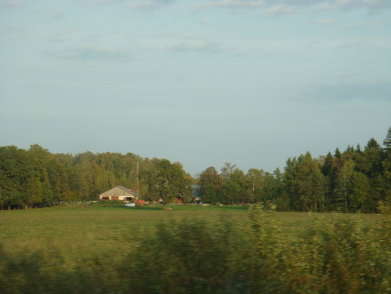 Estland - ...Gehöfte ducken sich hinter Bäumen; uns ist aufgefallen, dass sich vielfach auf der Westseite der Häuser dichtere Baumbestände als Windschutz befinden...