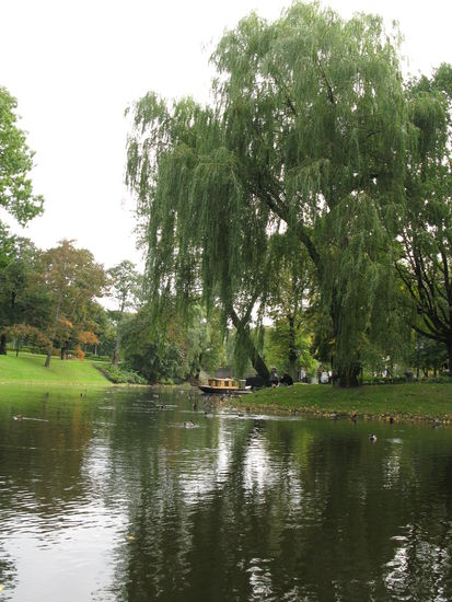 Riga - ...das Ziel ist wieder in Sicht...