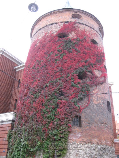 Riga - ...der rote Turm oder Pulverturm; er ist der einzige originale Turm der ehemaligen 28 Stadttürme...