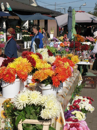 Riga - ...der Blumenmarkt...