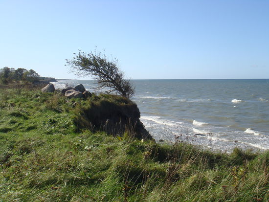 ... woher weht der ständige Wind?...