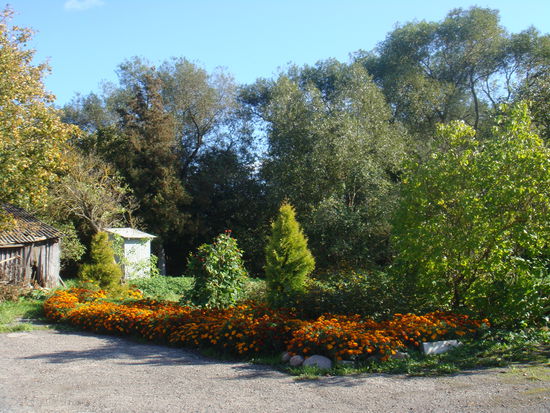 Grobina LV - ...der Garten...