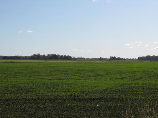 ...unterwegs im Grenzgebiet Lettland - Litauen...