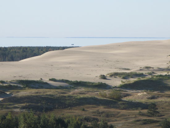 Kurische Nehrung - ...die grossen Wanderdünen...