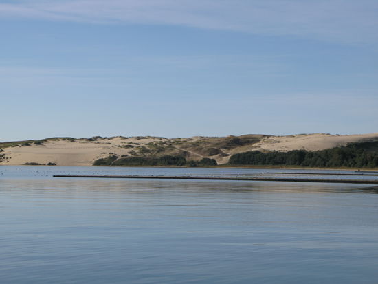 Nida - ...die Dünenlandschaft fällt bis ins Meer hinab...