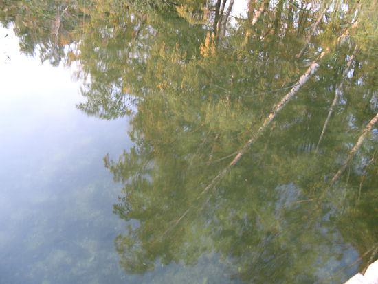 Trakai - ...die Spiegelungen auf dem klaren Wasser...