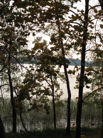 ...wir fahren zurück nach Trakai und nächtigen nochmals auf dem gleichen CP...