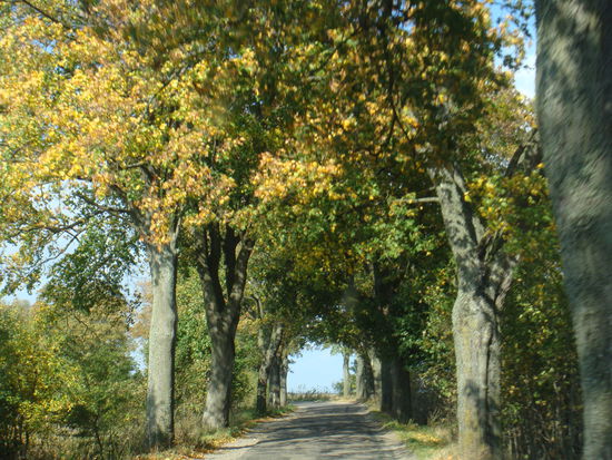 ...am nächsten Morgen brechen wir wieder auf und fahren in Richtung Danzig...