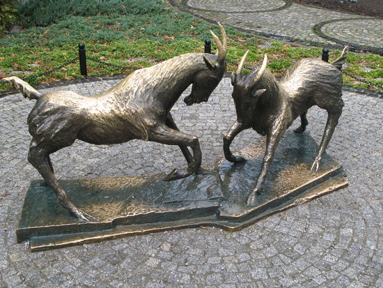 Poznan - ...die Ziegenböcke - das Wahrzeichen der Stadt Posen...