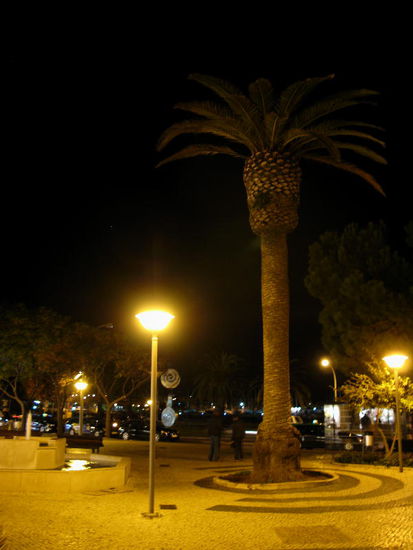 einen Grossteil des Tages brauchen wir mal für unsere Haushaltarbeiten...; auch die Weihnachtspost muss erledigt werden...