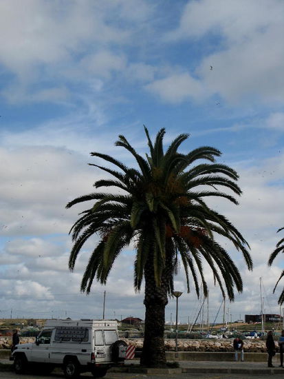 Leomobil wartet an schönster Lage auf die Weiterfahrt; übrigens - der CP in Lagos ist einer der schönsten mit einer Top-Infrastruktur, sehr empfehlenswert...