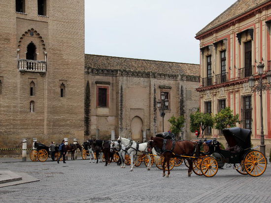 Auch sie warten auf Kundschaft... wir sind mitten im Zentrum bei der Kathedrale und Alcazar...