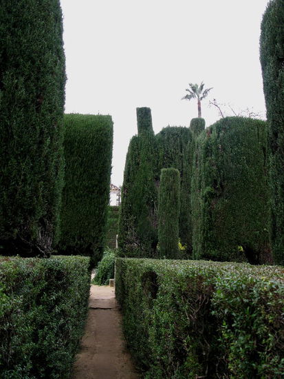 Geschnitten, veredelt...