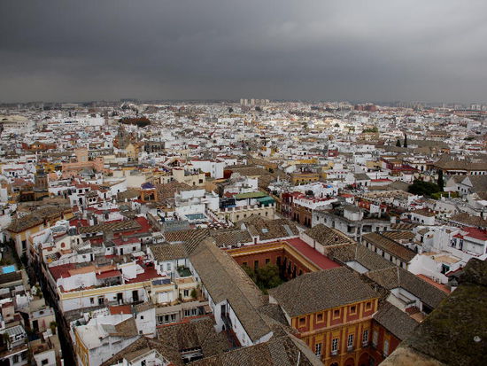 ...oder den Blick in die Ferne schweifen lassen...