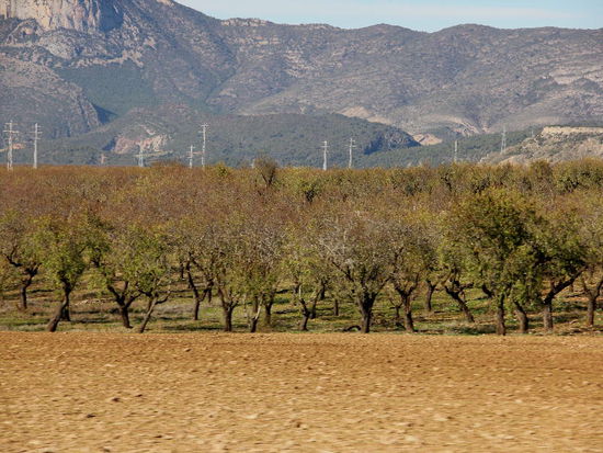 Hinunter in breitere Täler...