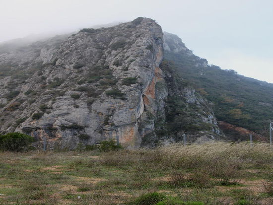 Wir steigen wieder hoch, der Nebel wird dichter...