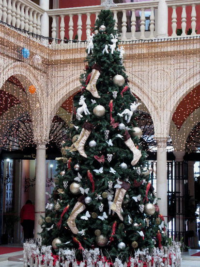 Allen Leserinnen und Lesern unserer HomePage wünschen wir frohe Weihnachten...