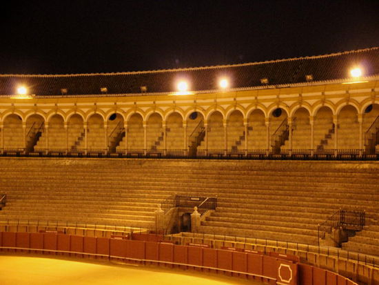 Das Stadion fasst rund 15'000 Zuschauer