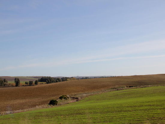 durch weite Felder...