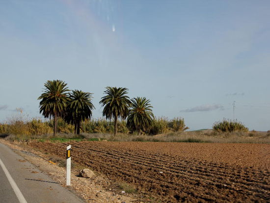 entlang frisch gepflügten Äckern...