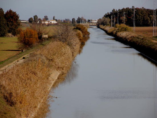 Über Bewässerungskanäle...