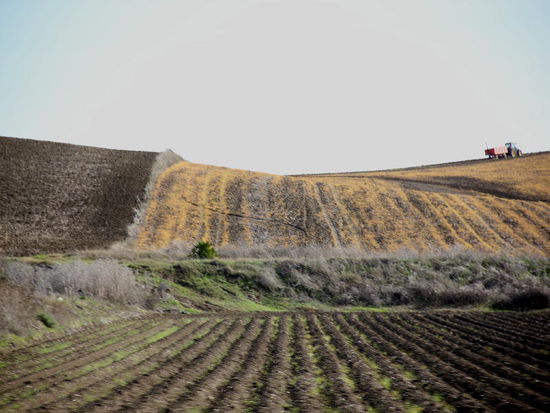 an frisch bestellten Äckern vorbei...