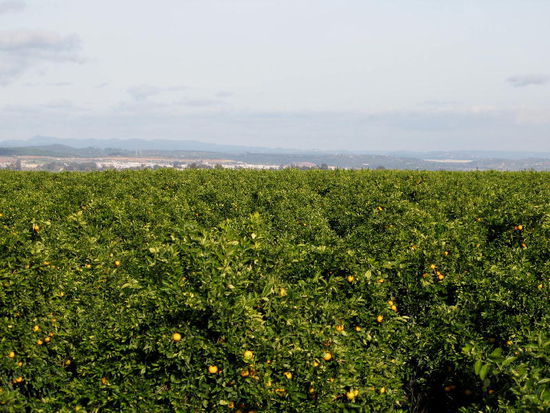 fast endlos - soweit das Auge reicht!
