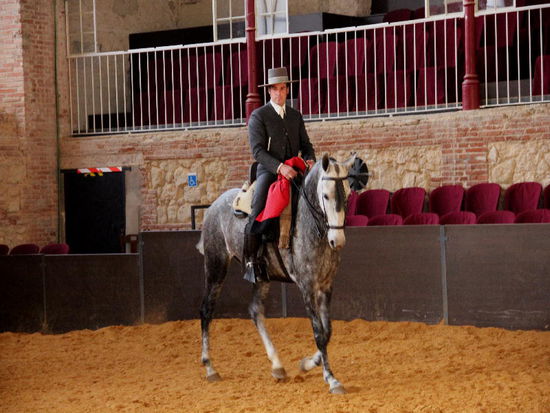 In der nahen Reithalle durften wir die Eleganz der andalusischen Pferde und Reiter kennenlernen...