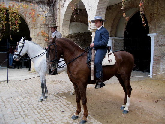 Warten auf den eigenen Auftritt, dabei wird die Konkurrenz kritisch verfolgt...