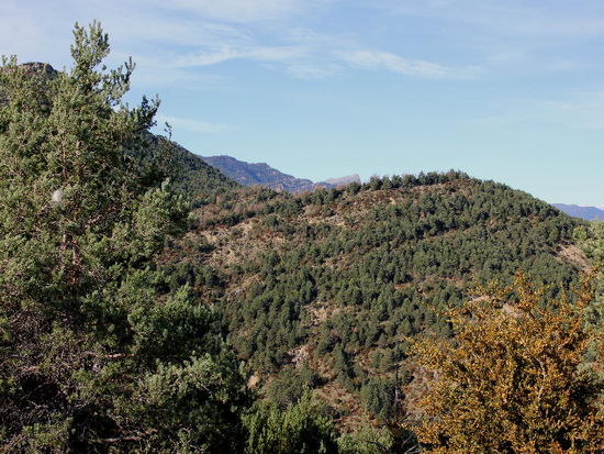 Von den Temperaturen und den Farben her fühlen wir uns im Herbst - aber hallo, es ist Ende November...