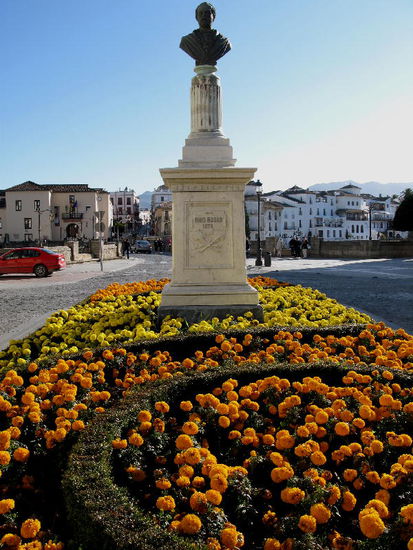 Es blüht, als ob es Frühling wäre...