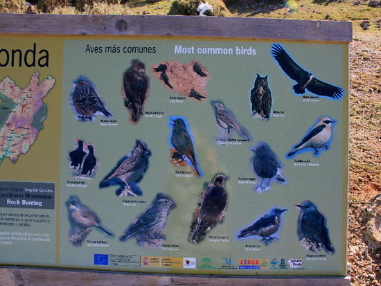 ...und sie könnte man beobachten...