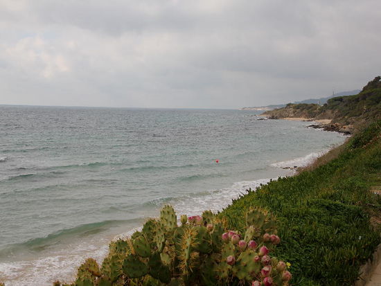 Tarifa ist die südlichste Stadt des europäischen Festlandes. Von hier sind es ca. 14 km bis nach Afrika. Bei guter Sicht scheint das marokkanische Festland hier greifbar nahe .