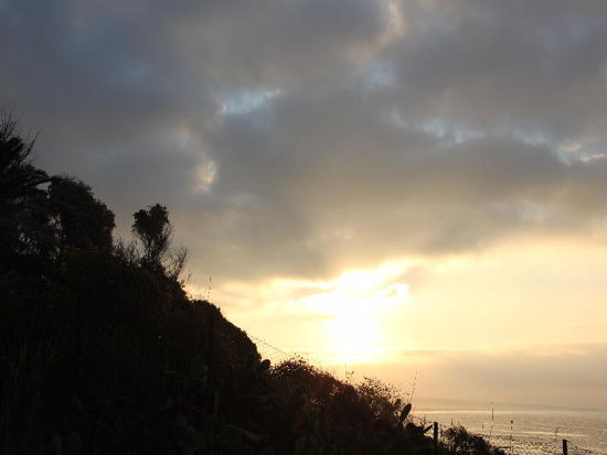 Morgenstimmung...
